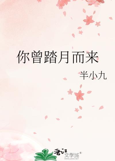 你曾踏月而来封面