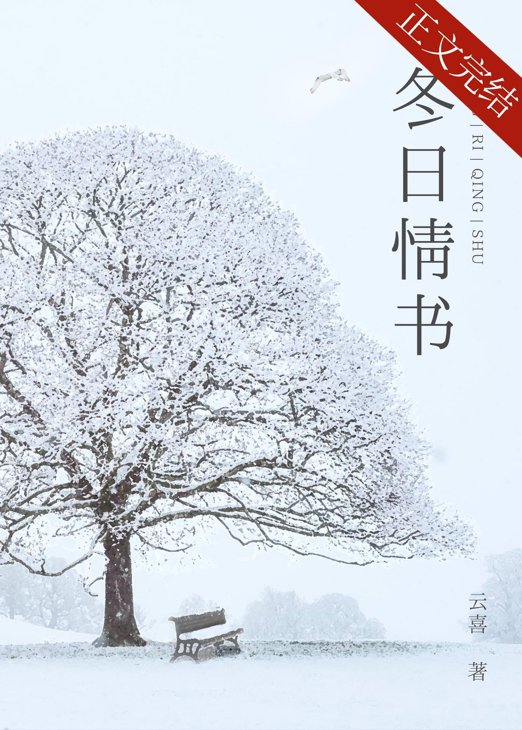 冬日情书封面