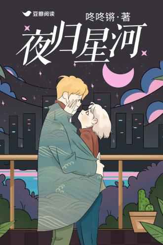 夜归星河封面