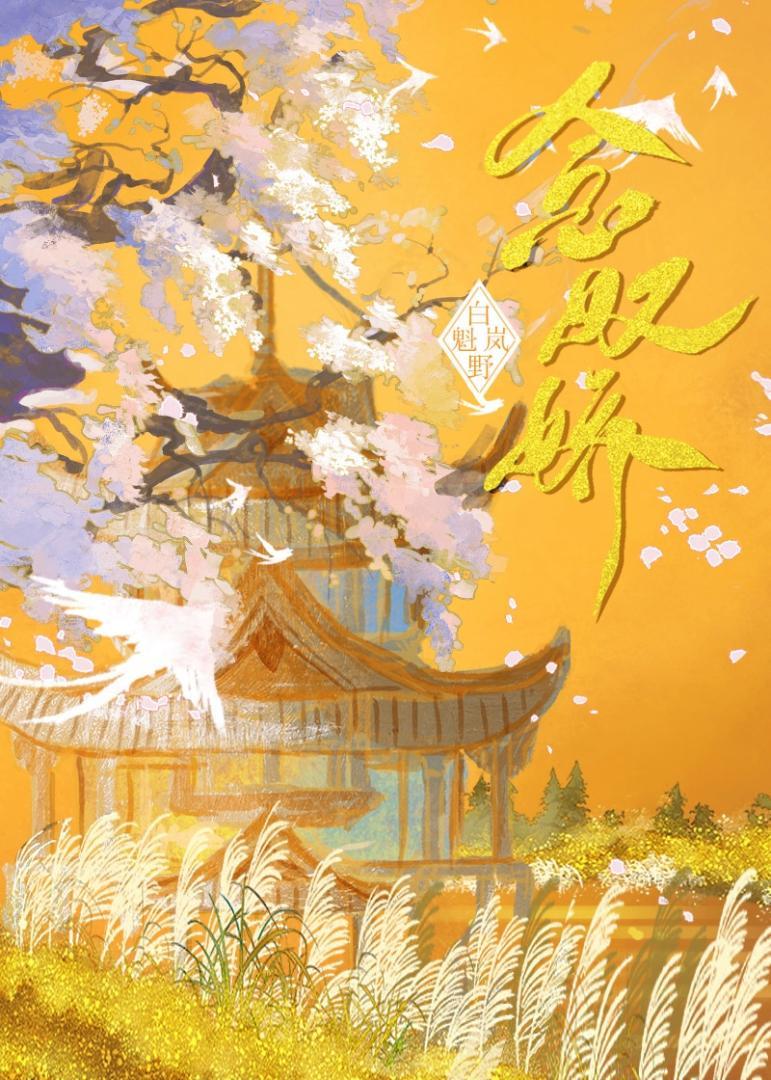 念奴娇封面