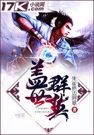盖世群英封面