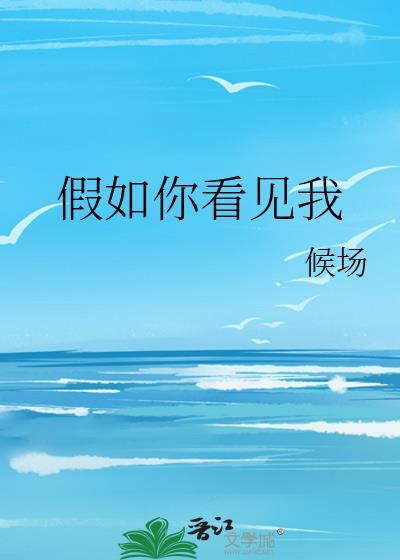 假如你看见我封面