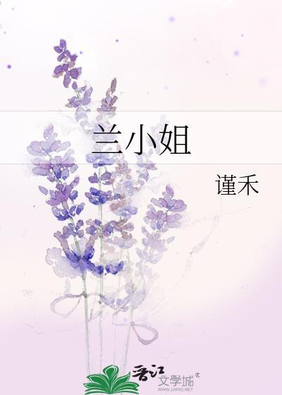 兰小姐封面