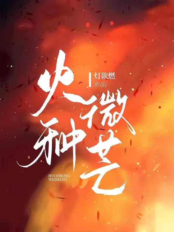 【二战】火种微芒封面