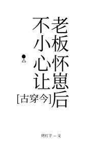 不小心让老板怀崽后[古穿今]封面