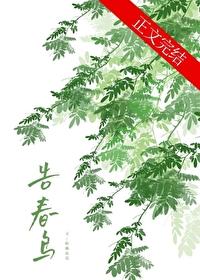 告春鸟封面