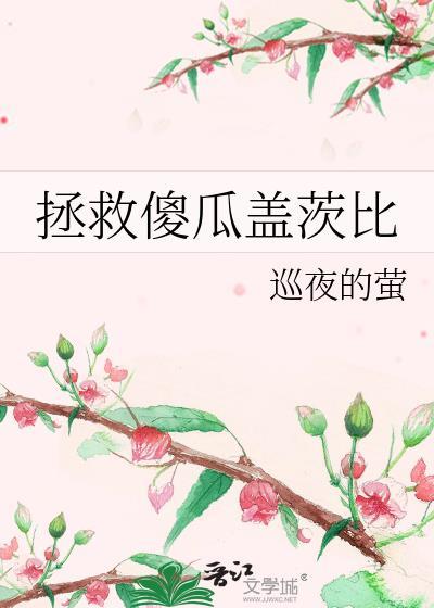 拯救傻瓜盖茨比封面