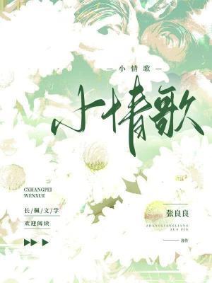 小情歌封面