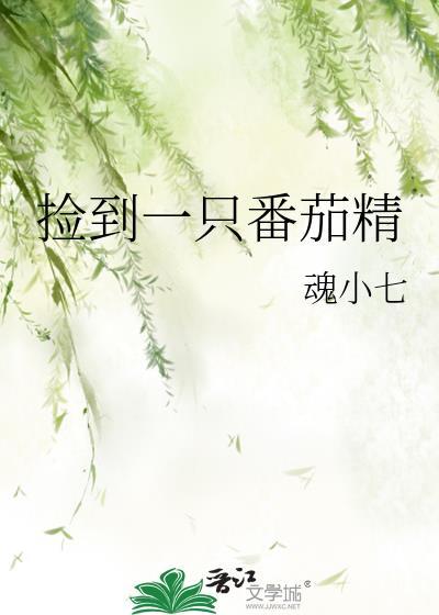 捡到一只番茄精封面