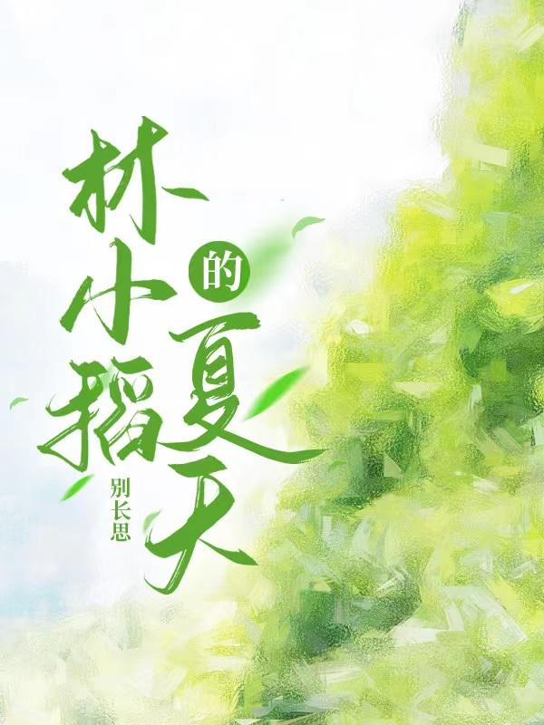 林小稻的夏天封面