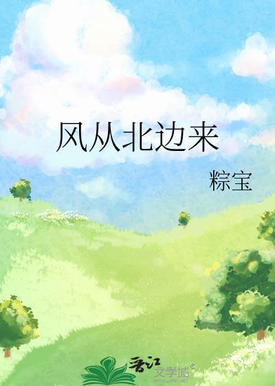 风从北边来封面