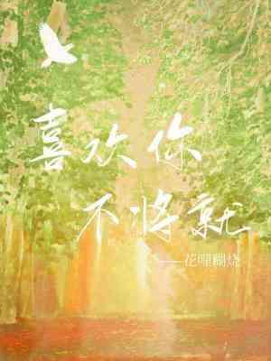 喜欢你,不将就封面