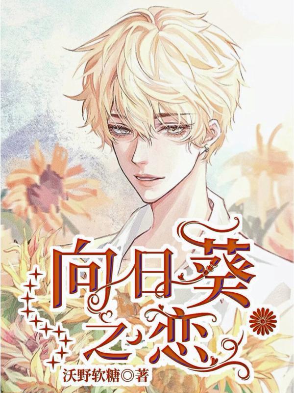 向日葵之恋封面