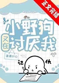 小野狗又在讨厌我封面