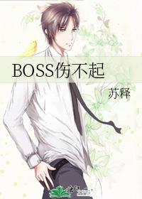 BOSS伤不起封面