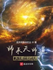 师承天师道，从斗破开始的无限封面