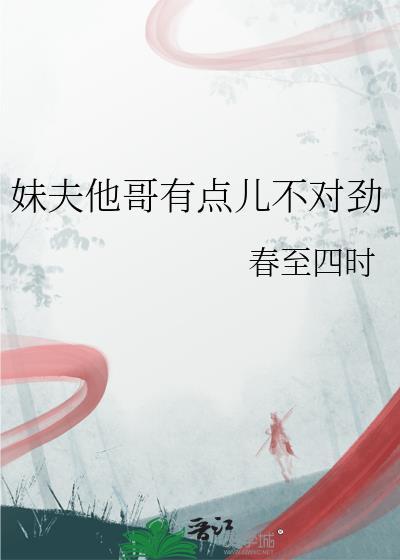妹夫他哥有点儿不对劲封面