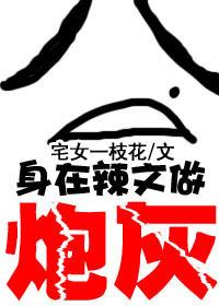 身在辣文当炮灰封面