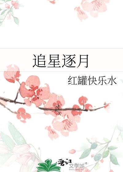 追星逐月封面