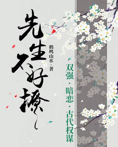 先生不好撩封面