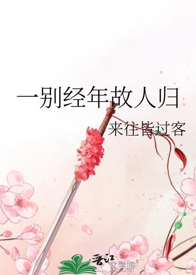 一别经年故人归封面