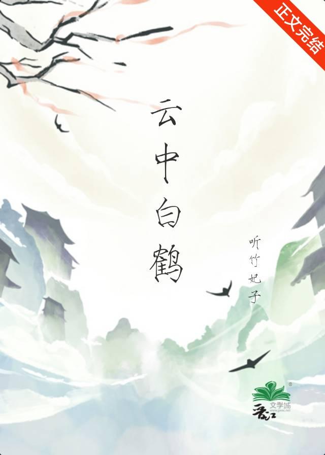 云中白鹤封面
