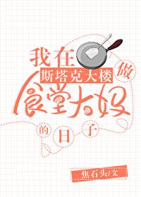 在斯塔克大楼做食堂大妈封面