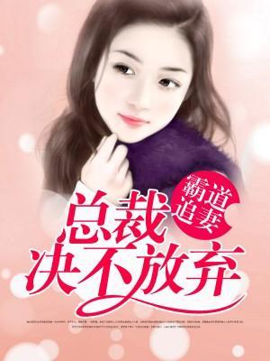 总裁追妻决不放弃封面