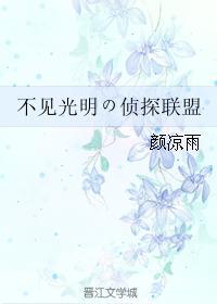 不见光明の侦探联盟封面
