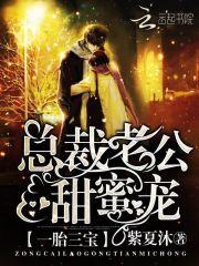 一胎三宝:总裁老公,甜蜜宠封面
