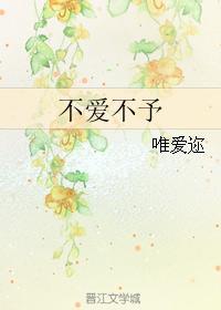 不爱不予封面