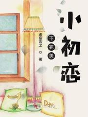 不完美小初恋封面