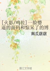 [火影鸣佐]一脸懵逼的面码和惊呆了的博人封面