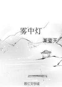 雾中灯封面