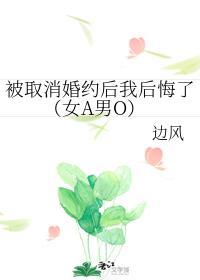 被取消婚约后我后悔了(女A男O)封面