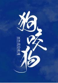 狗咬狗封面