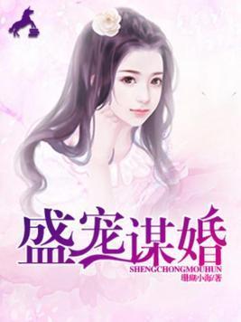 盛宠谋婚余小渔烈南风封面