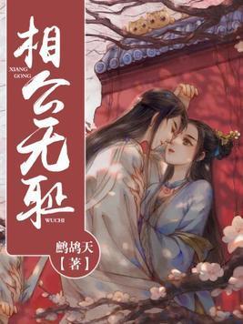 相公无耻封面