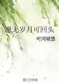 愿无岁月可回头封面