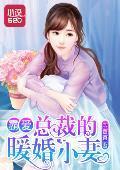 霸爱：总裁的暖婚小妻封面