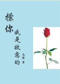 撩你我是故意的封面