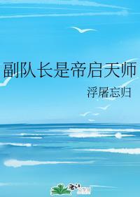副队长是帝启天师封面