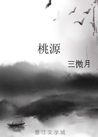 桃源封面