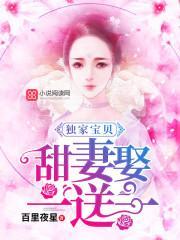 独家宝贝:甜妻娶一送一封面