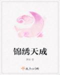 锦绣天成封面