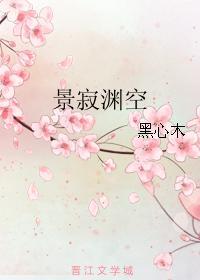 景寂渊空封面
