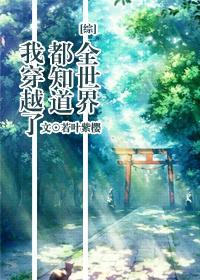全世界都知道我穿越了封面