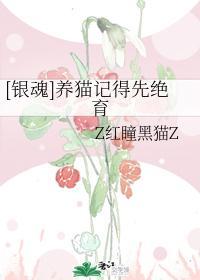 [银魂]养猫记得先绝育封面