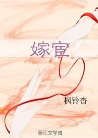 嫁宦封面