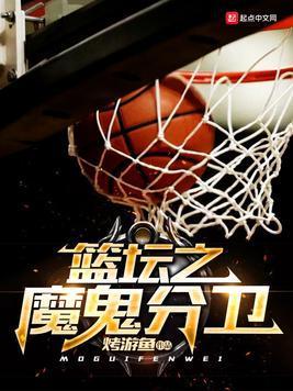 篮坛之魔鬼分卫封面